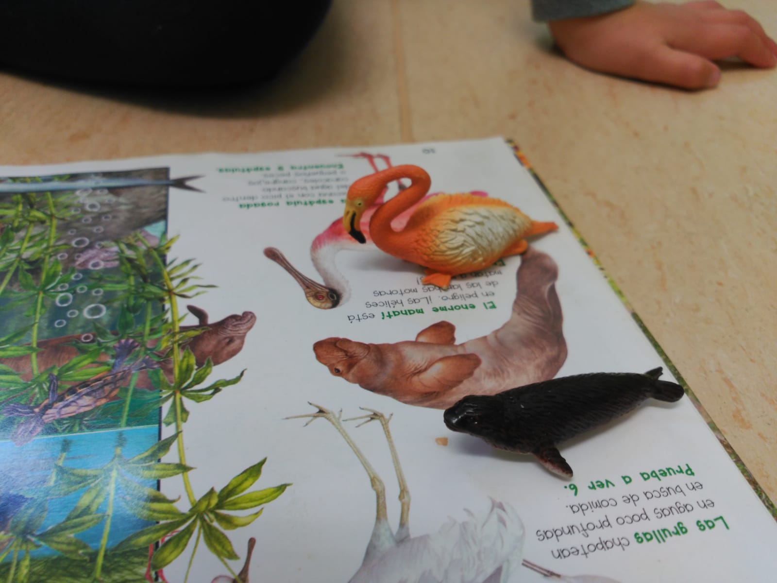 Clic en la imagen para ver la actividad