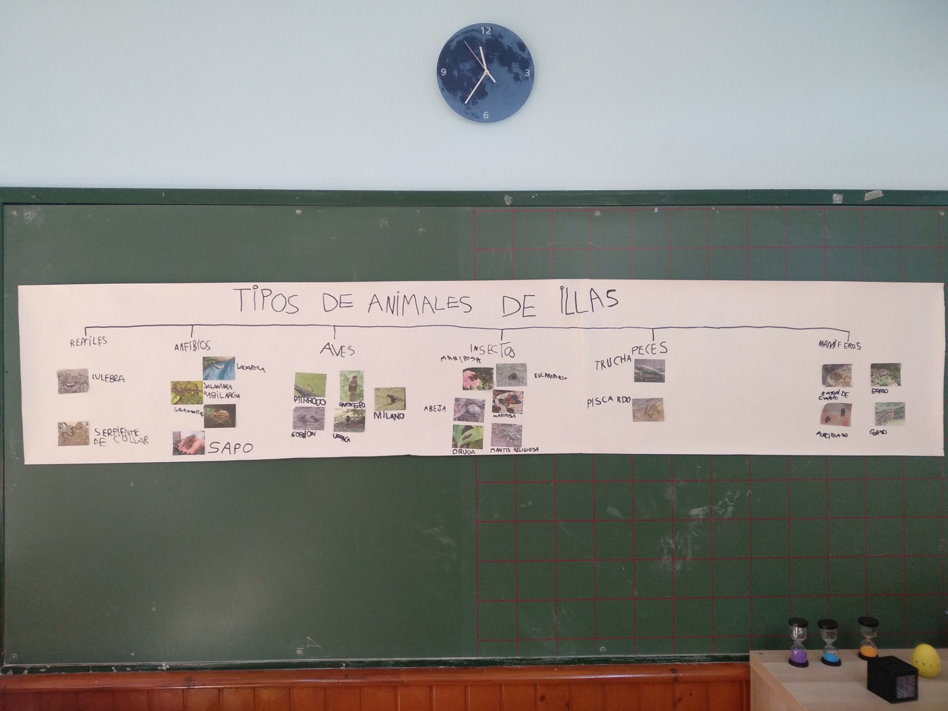 Clic en la imagen para ver la actividad